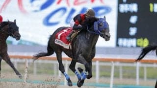 【コリアカップ】TCKのディクテオンが豪快な差し切りV