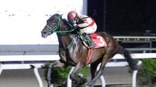 【高知競馬】多田羅誠也騎手が地方通算500勝達成