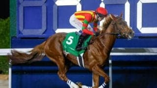 【仏・フォワ賞結果】ビザンチンドリームが海外重賞2勝目！ いざ凱旋門賞へ！