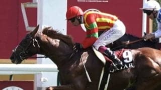 【仏フォワ賞】マーフィー「馬場状態が最大のカギ」…ビザンチンドリームいざ凱旋門賞へ