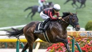 【仏・ムーランドロンシャン賞結果】ゴートゥファーストは11着 地元の3歳馬サーランがV