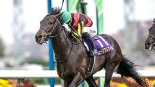 3日間開催でセントライト記念など3重賞/今週の競馬界の見どころ