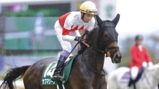 【チャレンジC登録馬】サブマリーナなど15頭