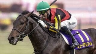 【セントライト記念見どころ】皐月賞馬ミュージアムマイルが登場