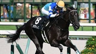 【チャレンジC想定騎手】グランヴィノスは川田将雅騎手、サブマリーナは武豊騎手