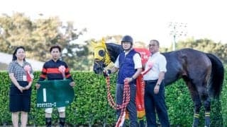 【京成杯AH】売上は39億7088万3600円で昨年より約17億円減少