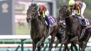 【セントライト記念想定騎手】ミュージアムマイルは戸崎圭太騎手、レッドバンデは佐々木大輔騎手