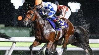 【川崎・戸塚記念枠順】東京ダービー3着のシーソーゲームは4枠4番、羽田盃2着のナイトオブファイアは8枠9番