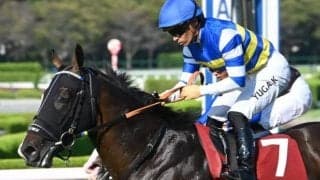 【セントウルS】売上は62億5740万6300円で昨年より約8000万円減少