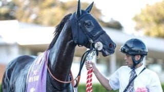 【紫苑S】売上は54億5859万6900円で昨年より12.5億円増加 今年から日曜日に実施