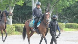 今年のオークス馬カムニャックの半弟 プレイザリードが日曜阪神で初陣/関東馬メイクデビュー情報