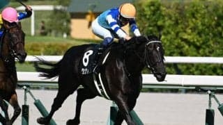 【チャレンジC展望】グランヴィノスの勢いに注目