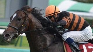 キタサンブラックが起こした大波乱 セントライト記念史上最高配当から10年