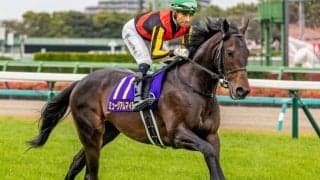 【セントライト記念】9年ぶりにGI馬の戴冠なるか 皐月賞馬のミュージアムマイルが参戦