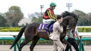 【セントライト記念予想オッズ】ミュージアムマイルが予想1番人気