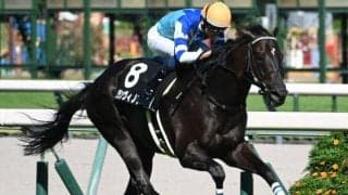 【チャレンジC予想オッズ】グランヴィノスが予想1番人気