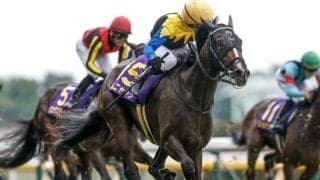 【ローズS予想オッズ】カムニャックが予想1番人気