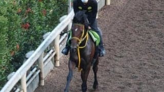 ロサドラーダなど、先週のゲート試験/栗東トレセンニュース