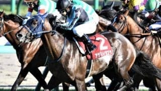中山競馬場で誘導馬デビュー 単勝42.7倍アサマノイタズラが制した21年セントライト記念
