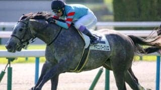 【セントライト記念】絶好調のヤマニン軍団 ヤマニンブークリエが重賞初制覇なるか