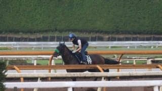 ジョバンニ、神戸新聞杯1週前追い切り速報/栗東トレセンニュース