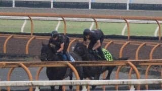 アランカール、野路菊S1週前追い切り速報/栗東トレセンニュース