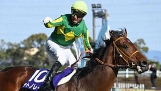 【スプリンターズS想定】サトノレーヴやカンチェンジュンガなど17頭