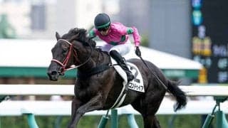 【ローズS】今年開業の井上智史調教師 コンドゥイアで重賞初制覇狙う