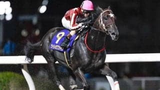 【川崎・戸塚記念結果】ナイトオブファイアが4馬身差圧勝で重賞初制覇