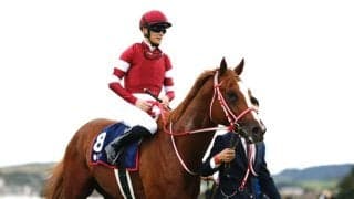 【愛チャンピオンS】シンエンペラー、カラ競馬場で併せ馬追い切り　