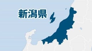 春高バレー新潟県予選会が13日開幕　男子は関根学園、女子は新発田商などが軸か