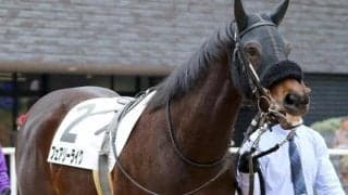 【ローズS】武豊騎手が19年ぶり7勝目なるか 伏兵フェアリーライクで一発狙う