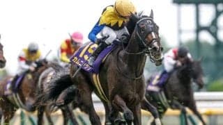 【ローズS出走馬・騎手確定】カムニャック＆川田将雅騎手、ミッキージュエリー＆岩田望来騎手など18頭