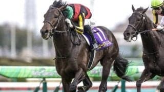 【セントライト記念出走馬・騎手確定】ミュージアムマイル＆戸崎圭太騎手、サクラファレル＆藤岡佑介騎手など12頭