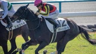 リバティアイランドのきょうだい2頭 阪神＆中山で同日Vなるか