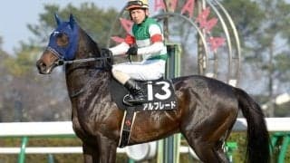 「セルフハンマー」でSNSにて話題 GI馬の半妹タワワが注目のデビュー戦