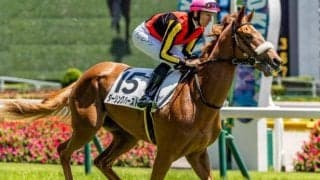 半兄はダート王のフォーエバーヤング ダーリングハーストが2戦目で決めるか