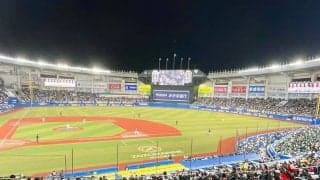 ZOZOマリンで珍事…鳥の群れ乱入で試合中断　約2分間球場内を飛行、ファン騒然