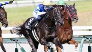 【チャレンジC】「大魔神」佐々木主浩オーナーのグランヴィノスが重賞初制覇なるか