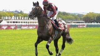 【ムーランドロンシャン賞】新谷師「良いレースを期待したのですが…」ゴートゥファーストは11着