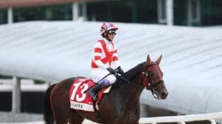 【武豊日記】馬たちはよく頑張っている