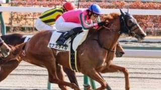 ローズSの勝ち馬は血統から探せ？ 歴代覇者の華麗な背景に注目