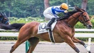 全兄はNHKマイルC覇者のダノンスコーピオン ギャラボーグが2戦目で確勝期す