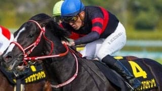 【チャレンジC】セレクト4.1億円のホウオウプロサンゲ 史上最高価格の重賞勝ち馬となるか