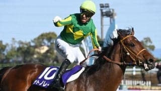 【スプリンターズS想定馬・騎手】サトノレーヴ、カンチェンジュンガなど16頭