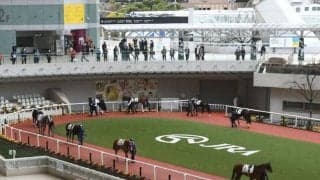 中内田充正厩舎の100万ドルホース ウェイニースーがデビュー勝ちなるか