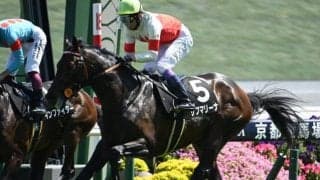 【チャレンジC予想】スタート直後の位置取りが重要な一戦！ 馬場コンディションやコース形態から軽視したい人気馬とは