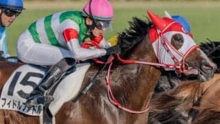 【新涼特別】半姉は名牝マルシュロレーヌ フィドルファドルが連勝狙う