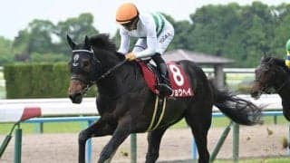 【神戸新聞杯想定馬・騎手】ショウヘイ、エリキングなど12頭