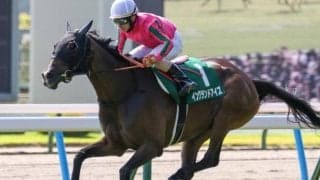 阪神芝は内ベター チャレンジCは内枠巧者のイングランドアイズが狙い目だ